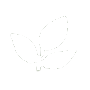 white leaf